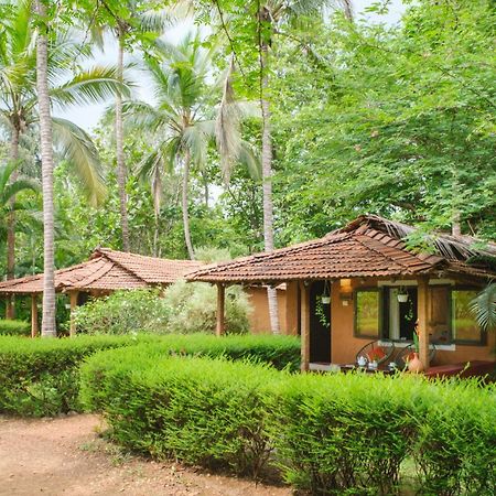 Nature'S Nest Eco Resort Goa, Near Dudhsagar Waterfalls Molem Екстериор снимка
