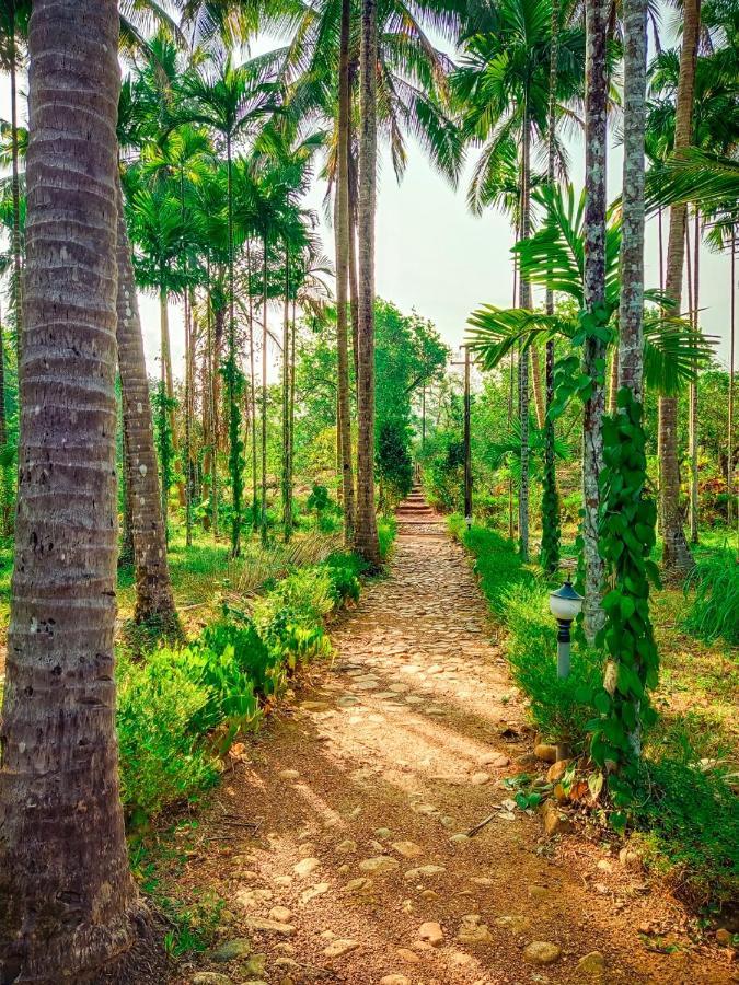 Nature'S Nest Eco Resort Goa, Near Dudhsagar Waterfalls Molem Екстериор снимка