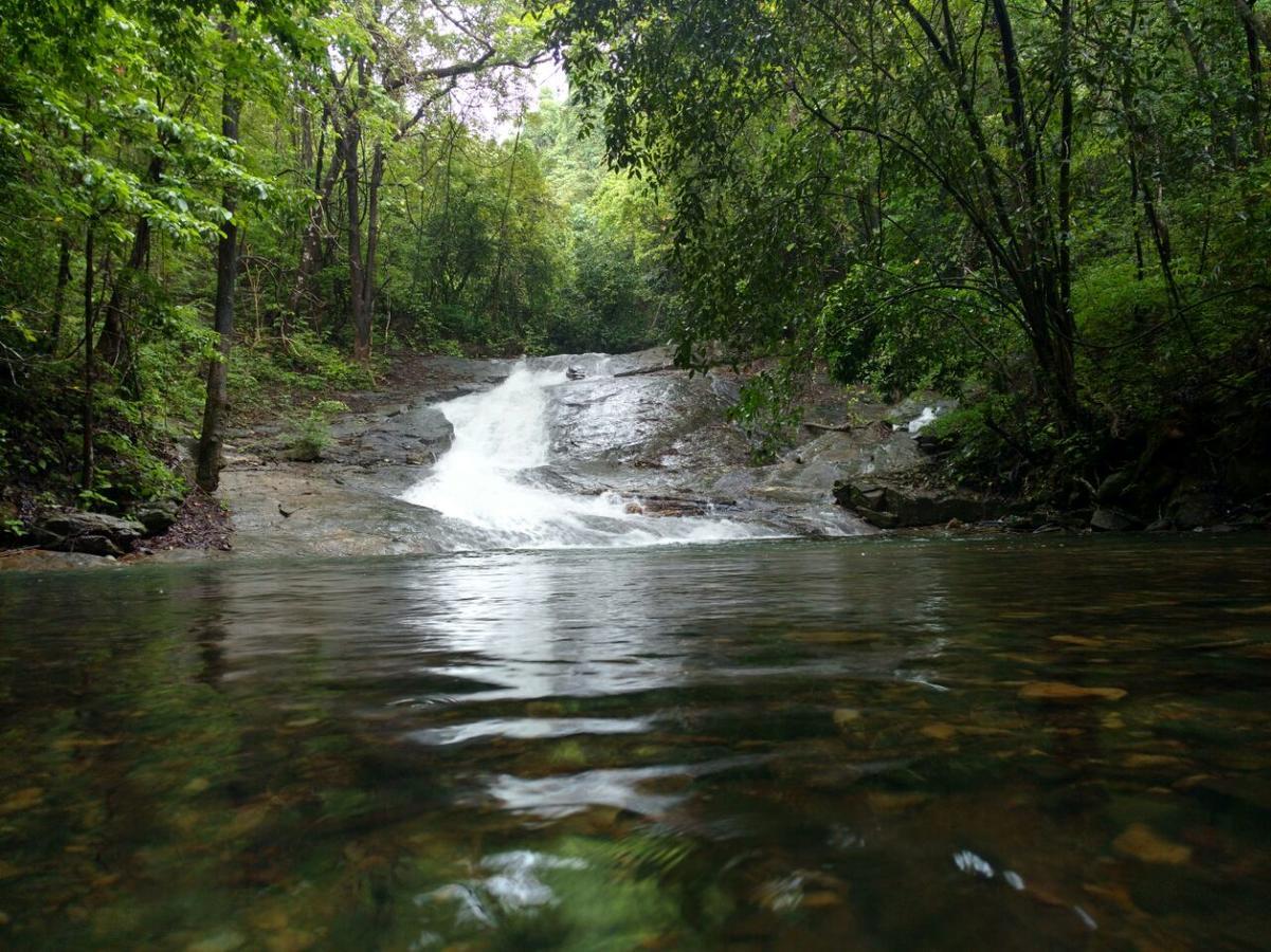 Nature'S Nest Eco Resort Goa, Near Dudhsagar Waterfalls Molem Екстериор снимка